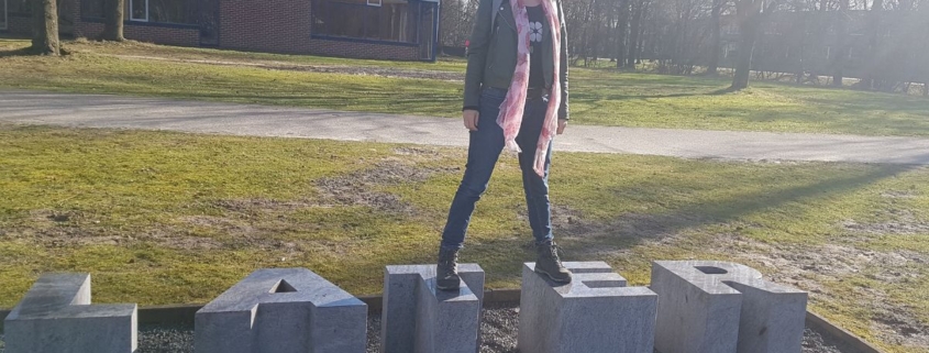 tevreden je doel stellen?