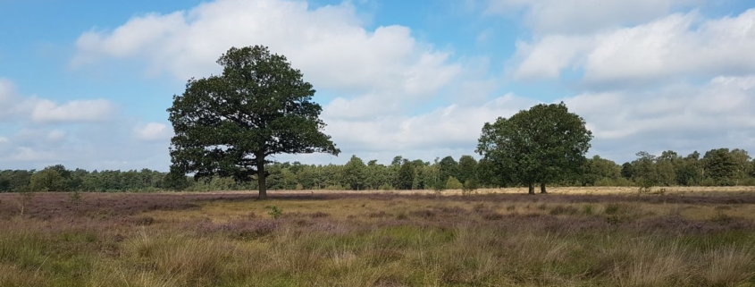 Is er een ander woord voor zijn met leegte?