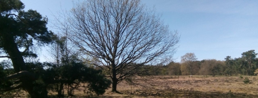 loslaten is een heel proces waarin je door verschillende fases heen gaat