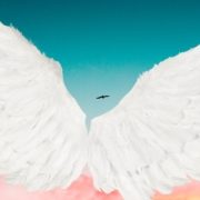 stel dat je vleugels zou hebben