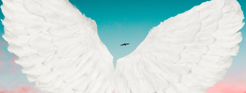 stel dat je vleugels zou hebben