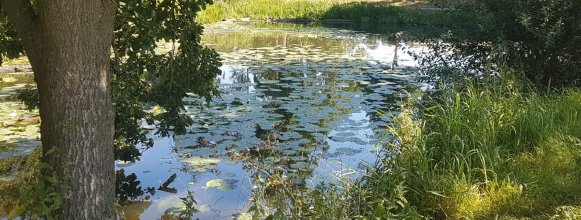 volg je natuurlijke beweging