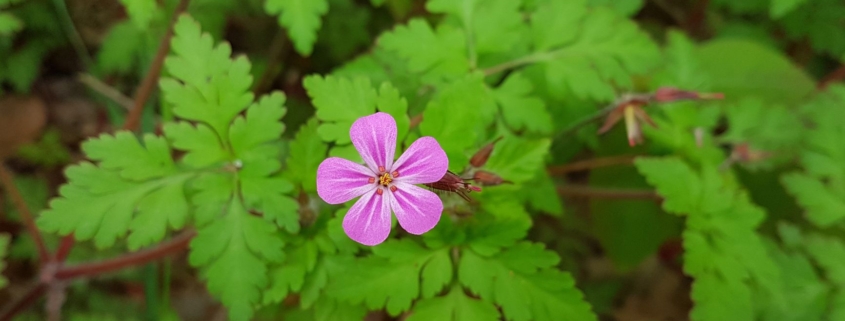 Kom van inzicht tot actie