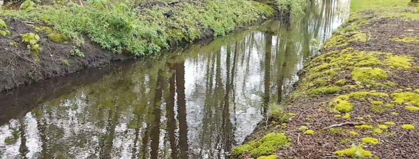 anders kijken naar je blokkade helpt om in beweging te blijven