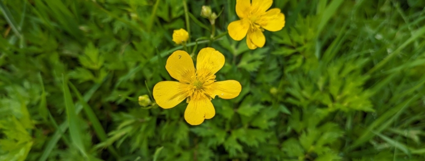 hetzelfde en toch anders