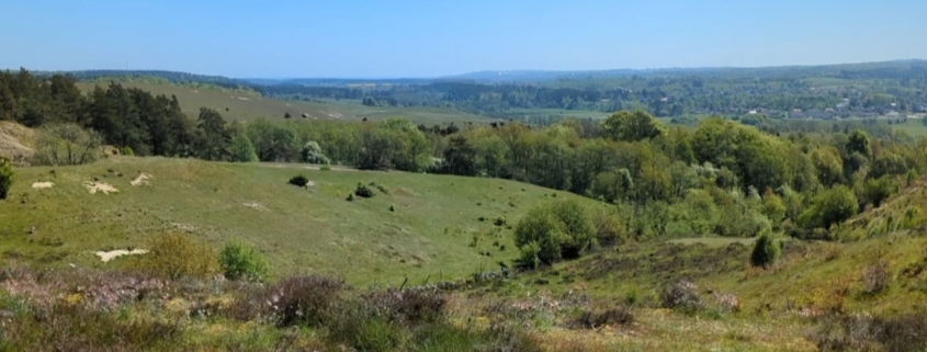 nu of later, welke mindset heb jij?