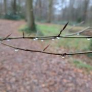 ongemakkelijke stilte