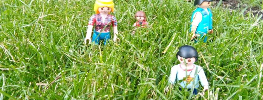 Anders kijken geeft je de zet om de stap te zetten waar je zo naar verlangt