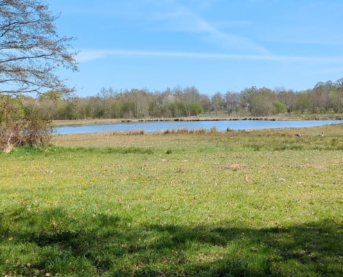 Stop met pleasen en maak ruimte voor jezelf