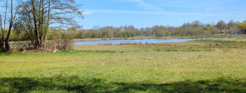 Stop met pleasen en maak ruimte voor jezelf