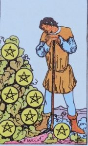 pentakels 7 pentakels 7: wat laat jij nu groeien en bloeien?