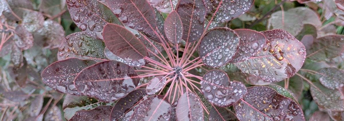 meer jezelf zijn ondanks of dankzij alles wat je meemaakt?