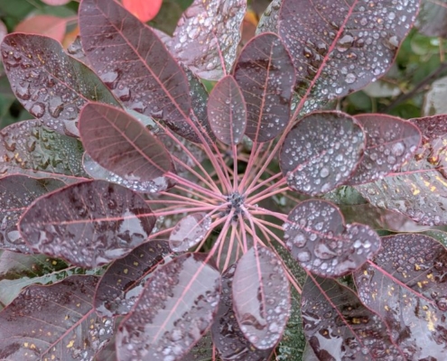 meer jezelf zijn ondanks of dankzij alles wat je meemaakt?