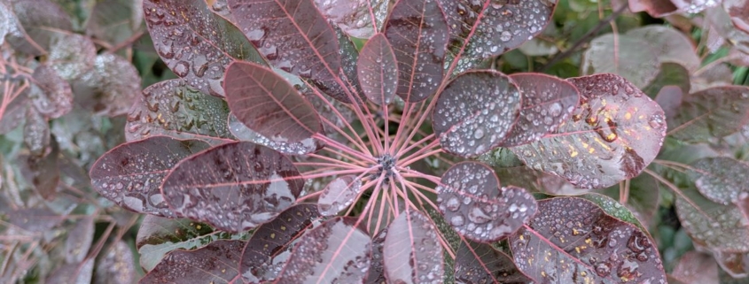 meer jezelf zijn ondanks of dankzij alles wat je meemaakt?