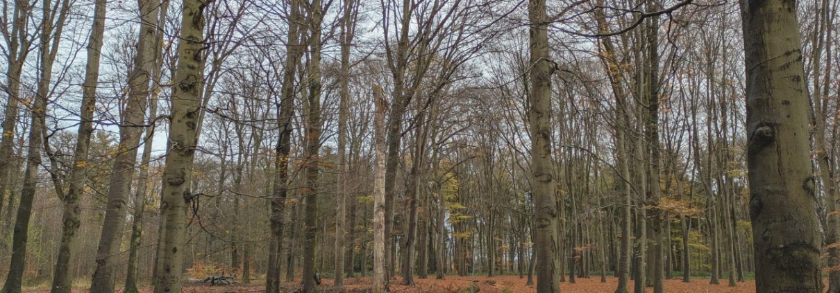 december en leegte, het kan samen