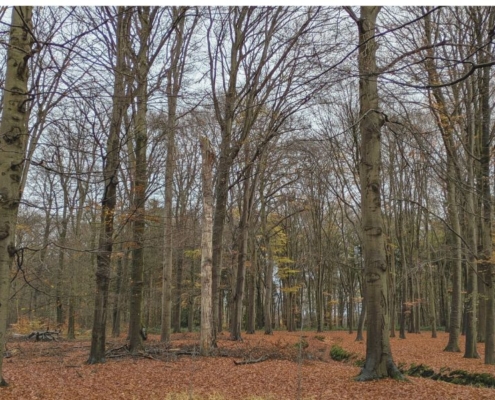 december en leegte, het kan samen