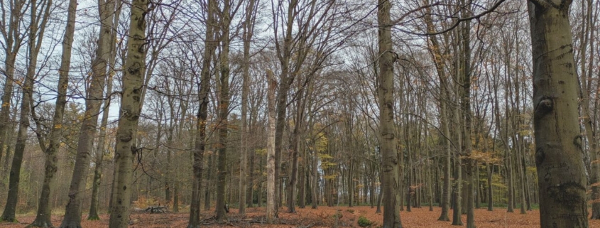 december en leegte, het kan samen