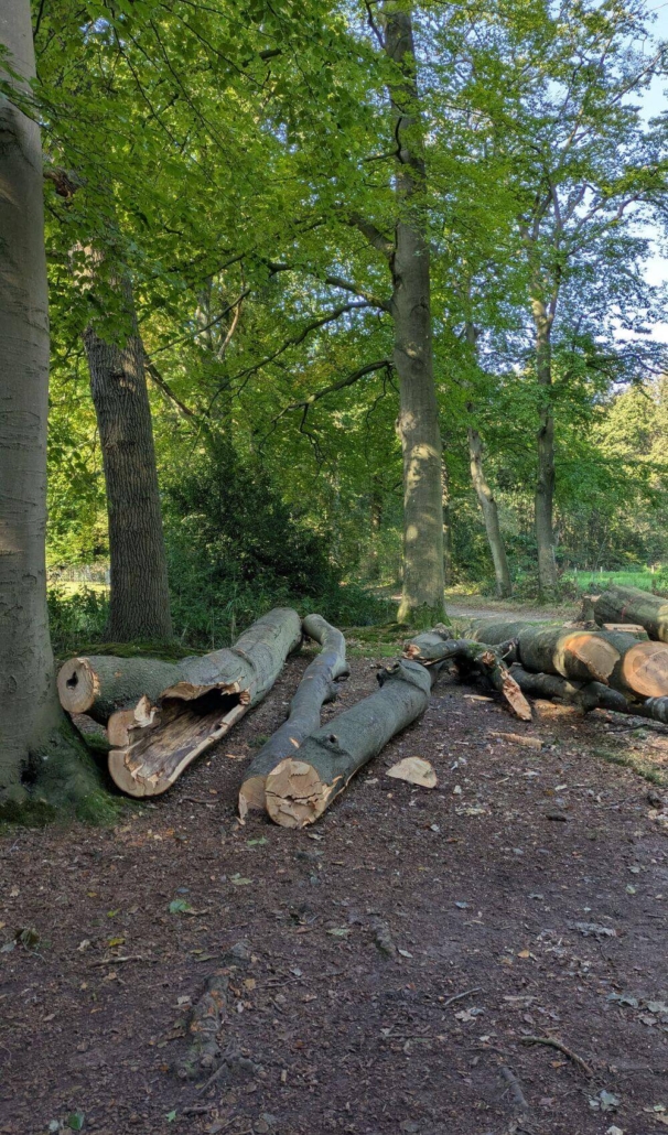 je cijfert jezelf weg, holt jezelf uit